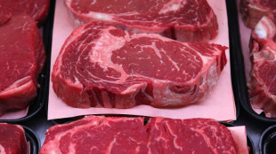 Réduire de 50% la consommation de viande permettrait d'atteindre les objectifs climatiques, selon une étude