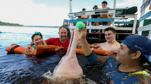 Handicap: des dauphins d'Amazonie s'invitent dans une th&eacute;rapie