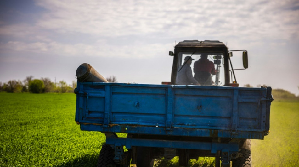 Dans les champs ukrainiens, les agriculteurs trompent la mort