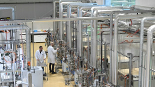 Innovation: la levure, de l'infiniment petit au campus géant de Lesaffre