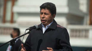 Fiscalía de Perú abre investigación por denuncia de "plagio" en tesis de Castillo