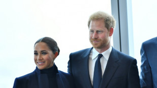 Prinz Harry f&uuml;hlt sich bei Besuchen in Gro&szlig;britannien nicht sicher