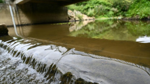 Les nappes phr&eacute;atiques en situation "tr&egrave;s fragile" en Languedoc-Roussillon