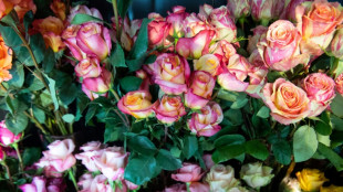 D&iacute;a de los Enamorados: mensajes de amor, bombones para ellos y dinero por doquier