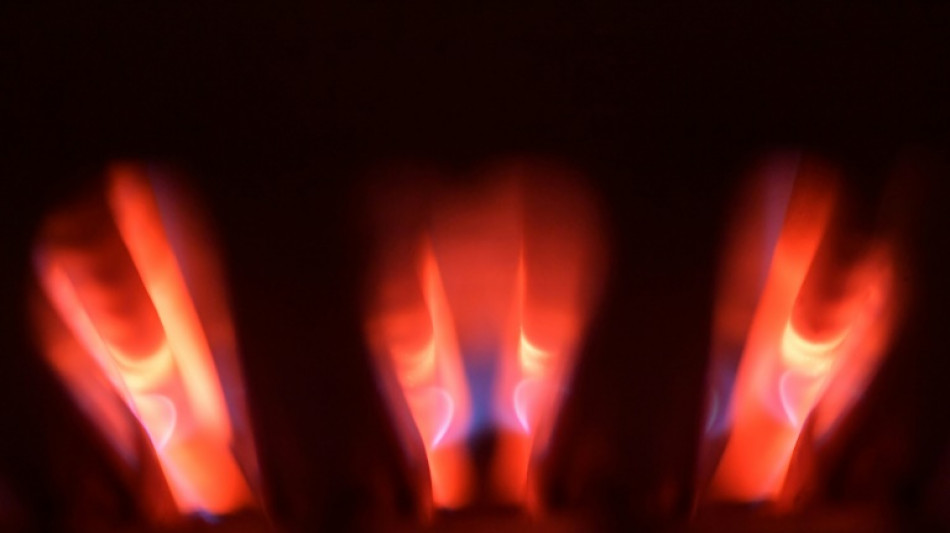 Francia llen&oacute; sus reservas de gas al 100%