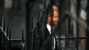 El príncipe Enrique apela para recuperar la custodia policial en Reino Unido