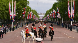 Pride and excitement as UK crowds celebrate 80 years since WWII's end 