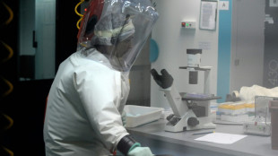 Ruanda inicia un ensayo cl&iacute;nico de tratamiento contra el virus de Marburgo