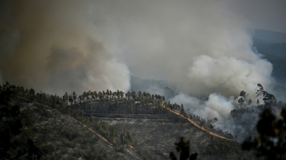 Feuerwehr bringt größten Waldbrand in Portugal vorerst unter Kontrolle