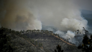 Feuerwehr bringt größten Waldbrand in Portugal vorerst unter Kontrolle