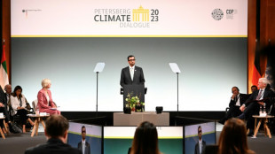 El presidente de la COP28 insta a triplicar la capacidad de energ&iacute;as renovables para 2030