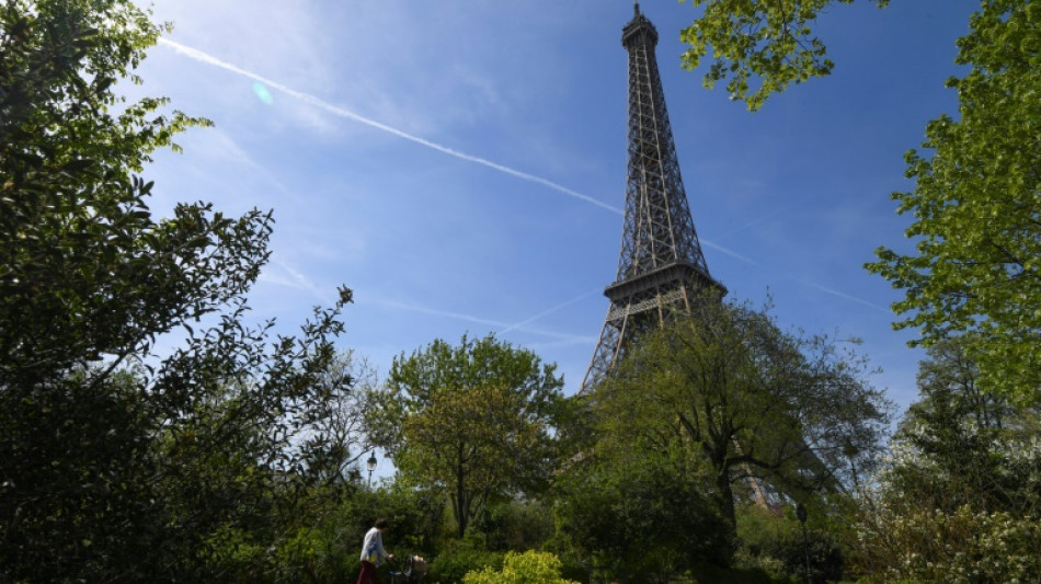 Paris: la mairie s'engage à ne pas abattre d'arbres au pied de la Tour Eiffel