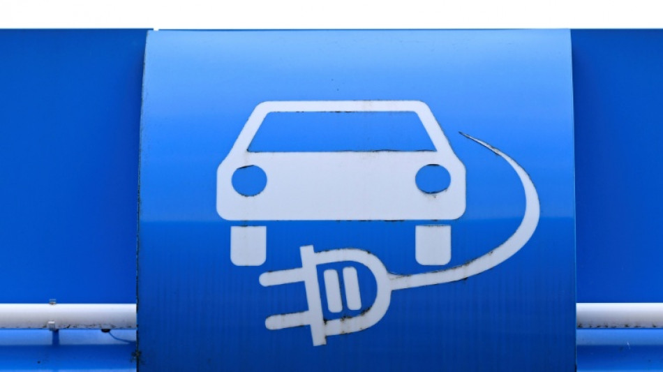 Neuer Rekord bei Umstieg auf E-Autos - Staatliche Pr&auml;mie verst&auml;rkt den Trend