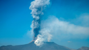 Italie: l'Etna crache des cendres, l'aéroport de Catane ferme