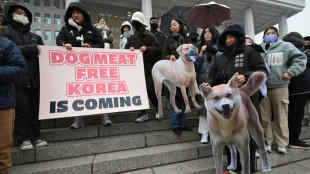 Parlamento da Coreia do Sul pro&iacute;be o com&eacute;rcio de carne de cachorro