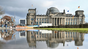 Linke klagt in Karlsruhe gegen beschränktes Fragerecht im Bundestag