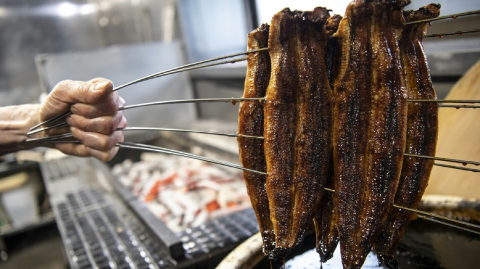 Le Japon s'oppose à un projet de l'UE visant à restreindre le commerce des anguilles