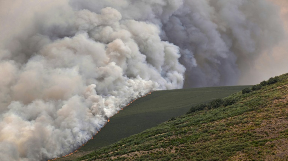 Lutte sans r&eacute;pit contre les incendies en Espagne et au Portugal, d&eacute;j&agrave; six morts
