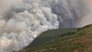 Lutte sans r&eacute;pit contre les incendies en Espagne et au Portugal, d&eacute;j&agrave; six morts