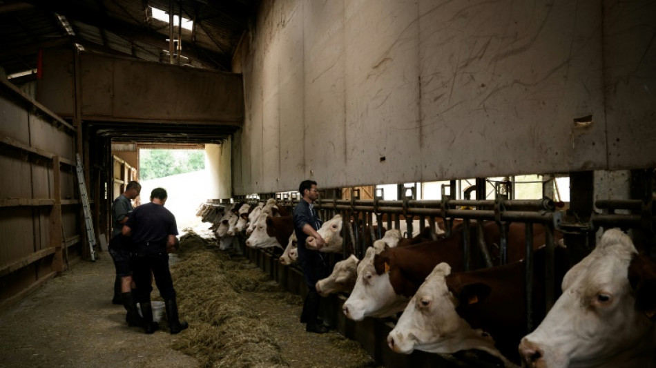 Dermatose des bovins: la ministre de l'Agriculture chez les &eacute;leveurs touch&eacute;s