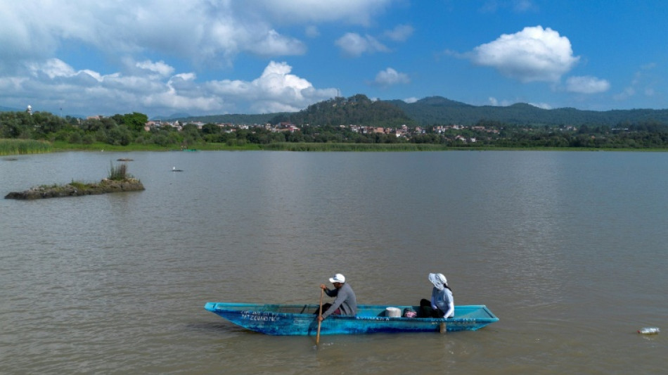 Indígenas y científicos se unen en México para salvar a un anfibio considerado un elixir