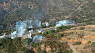 Bolivia police officer blown up by pro-Morales demonstrators