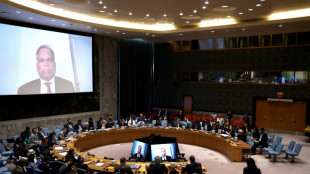 Israel's Gaza plan risks 'another calamity': UN official