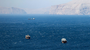 Nyt, 'l'Iran ha iniziato a posare mine nello Stretto di Hormuz'