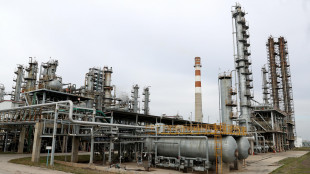 Il petrolio chiude in lieve rialzo a New York a 74,66 dollari