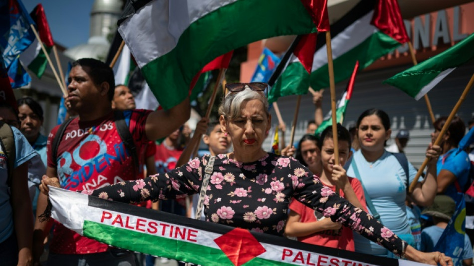 Venezuela envia 30 toneladas de ajuda humanit&aacute;ria a Gaza