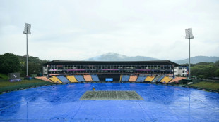 Australia, Ireland out of T20 World Cup as Zimbabwe qualify after washout