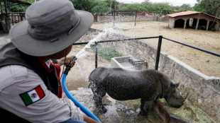 M&eacute;xico registra 155 muertes por la temporada de calor 