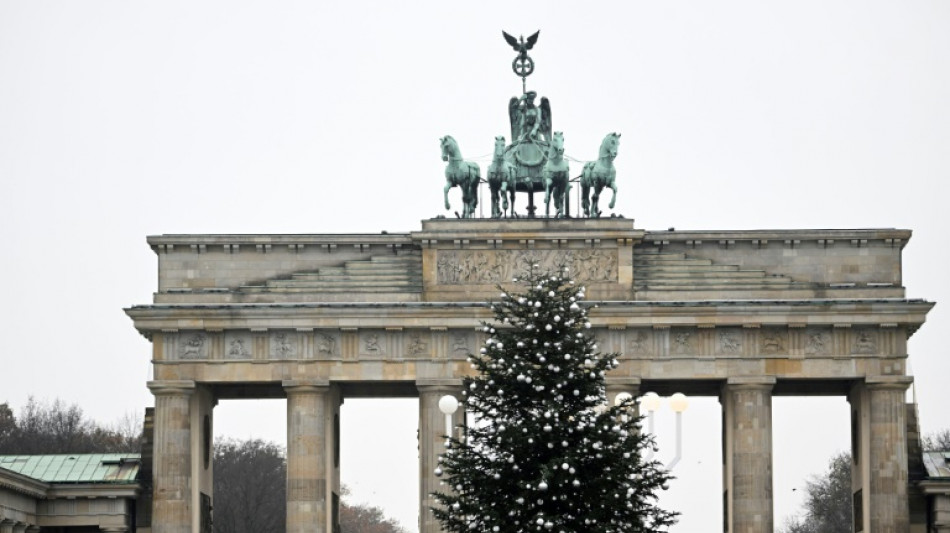 German climate activists cut top off Christmas tree