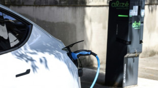 Voiture &eacute;lectrique &agrave; 100 euros par mois: objectif initial "d&eacute;pass&eacute;", l'Etat met fin &agrave; l'&eacute;dition 2024