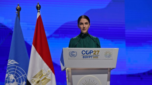 Activistas, entre ellos Greta Thunberg, siguen adelante con una demanda clim&aacute;tica contra Suecia