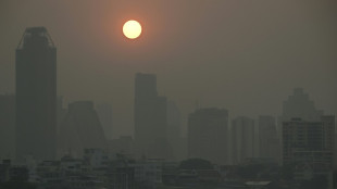 Bangkok pide trabajar en casa por fuerte contaminación del aire