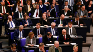 Bundesverfassungsgericht entscheidet über Ausschussvorsitze von AfD in Bundestag