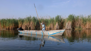 En Irak, la prospection p&eacute;troli&egrave;re menace les mythiques marais m&eacute;sopotamiens