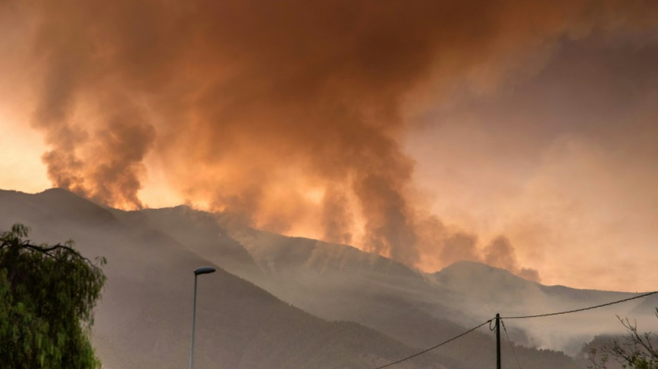 Espagne: un feu de for&ecirc;t "hors de contr&ocirc;le", cinq villages &eacute;vacu&eacute;s &agrave; Tenerife