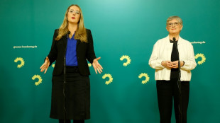 Gr&uuml;ne weiterhin skeptisch bei Verhandlungen &uuml;ber Finanzpaket von Union und SPD