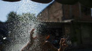 Br&eacute;sil: Rio en pleine canicule &agrave; l'approche du carnaval