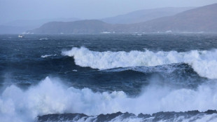 Temp&ecirc;te Eowyn: l'UE envoie des g&eacute;n&eacute;rateurs &eacute;lectriques &agrave; l'Irlande