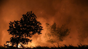 Waldbrände an der französischen Atlantikküste breiten sich langsamer aus
