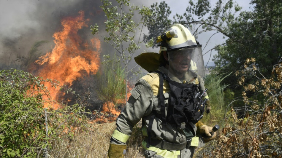 Un gran incendio en el este de Espa&ntilde;a se reaviva y amenaza un parque natural