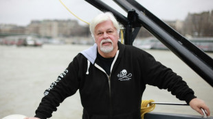 Paul Watson, l'&eacute;co-pirate qui fait des vagues