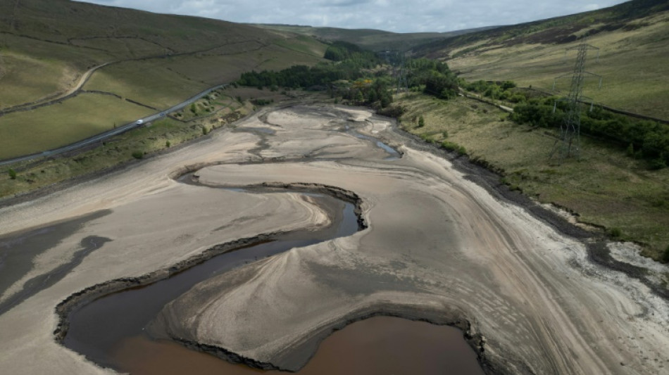 Le nord de l&rsquo;Europe frapp&eacute; par une s&eacute;cheresse exceptionnelle