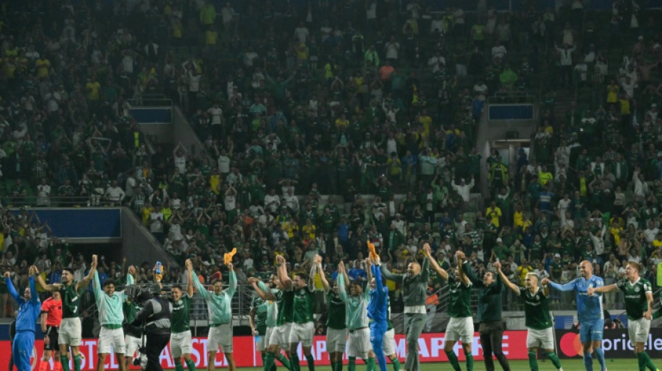 A ressurrei&ccedil;&atilde;o do Palmeiras, um gigante da Libertadores