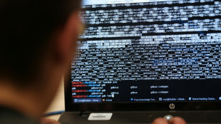 Bundesregierung sieht Russland hinter Cyberangriff auf SPD
