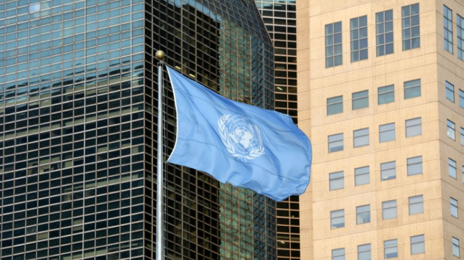 Guerre Russie/Ukraine: le Conseil de s&eacute;curit&eacute; de l'ONU observateur actif faute de mieux