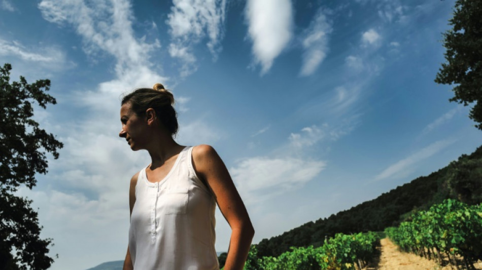 Quand ch&ecirc;nes et oliviers cohabitent avec la vigne pour att&eacute;nuer les "exc&egrave;s du climat"